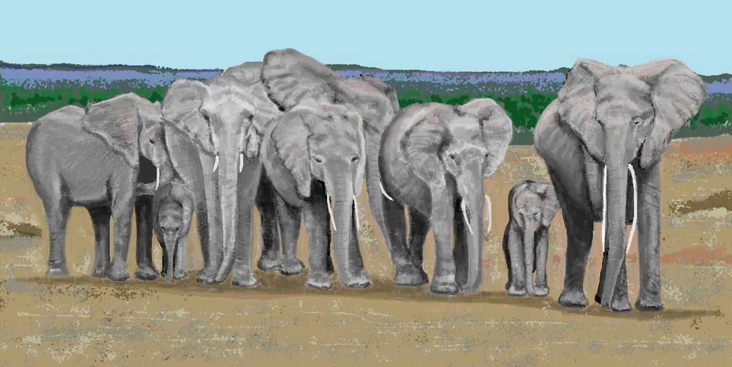"Eight Elephants" Original Giclée on Canvas-  - Carole K. Boyd