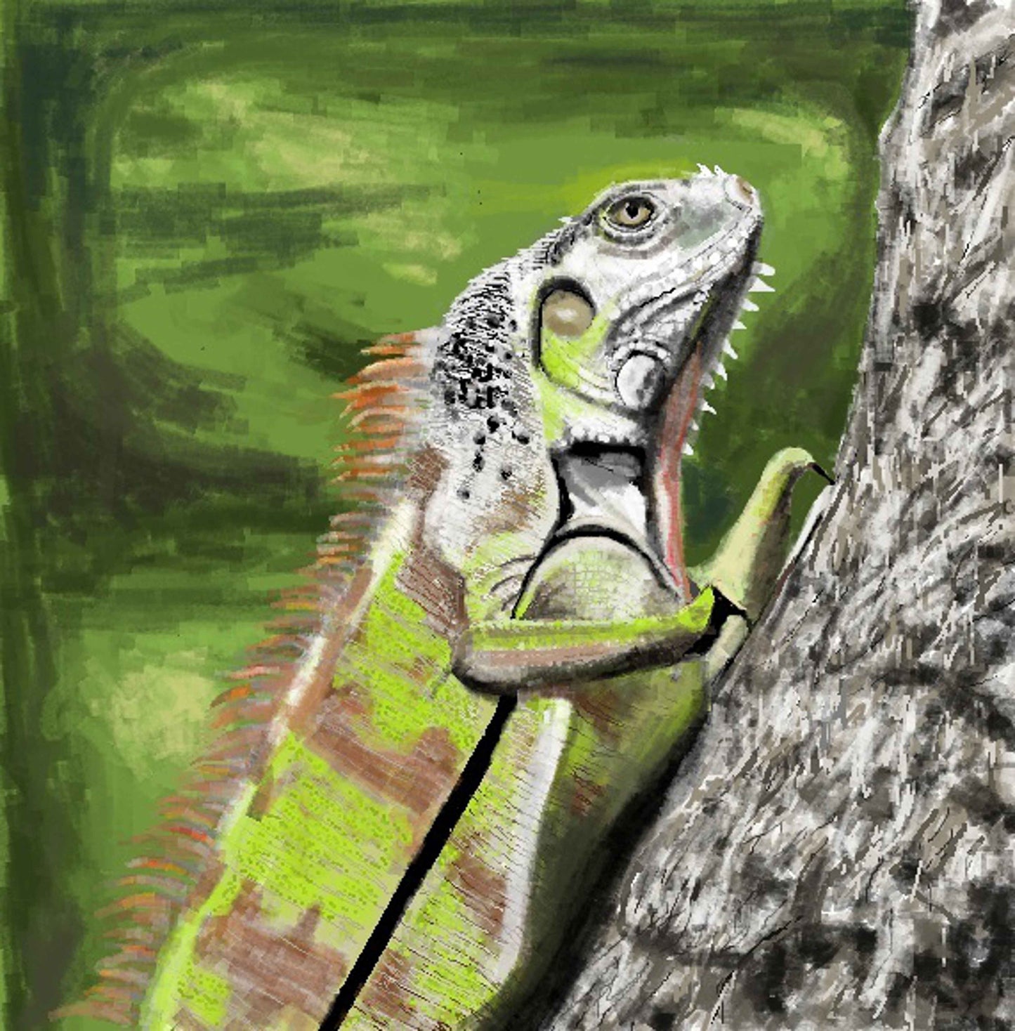 "Day of the Iguana" Original Giclée on Canvas-  - Carole K. Boyd
