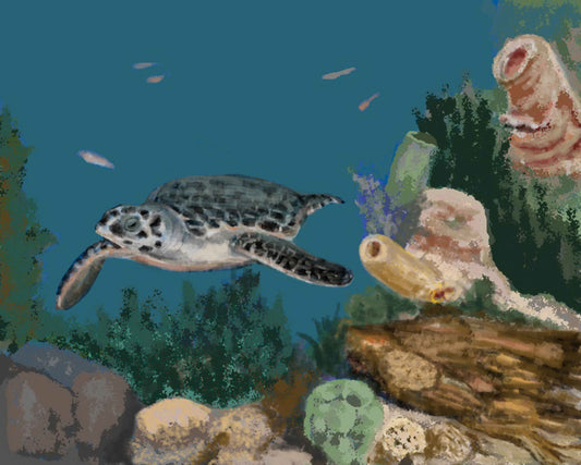 "Sea Turtle" Original Giclée on Canvas-  - Carole K. Boyd