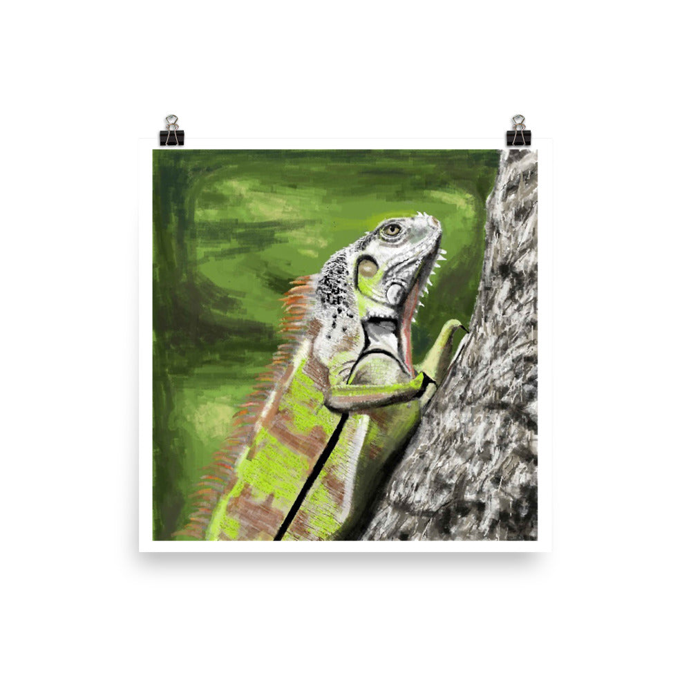 "Day of the Iguana" Print-  - Carole K. Boyd
