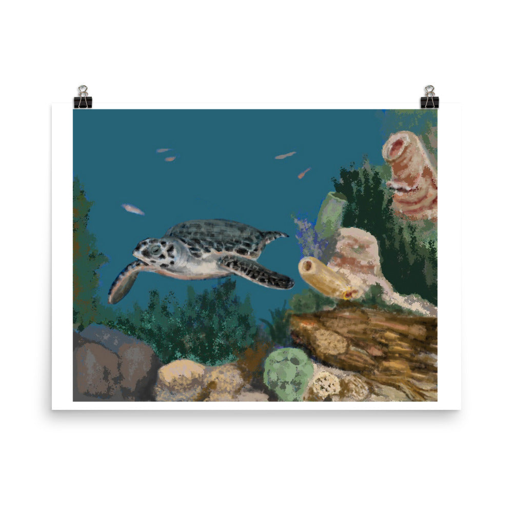 "Sea Turtle" Print-  - Carole K. Boyd