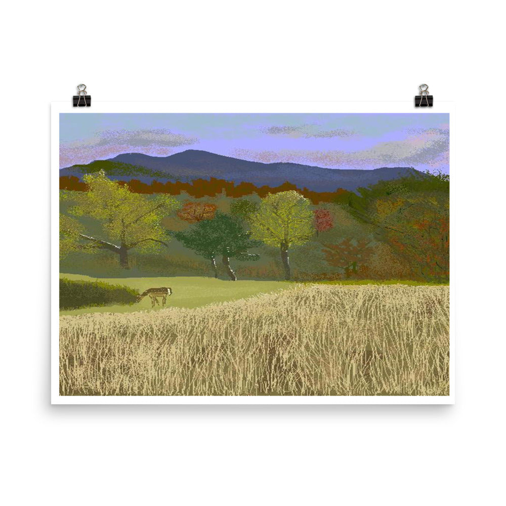 "Hill Country Colors" Print-  - Carole K. Boyd